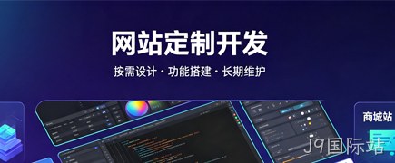 各类型网站定制开发